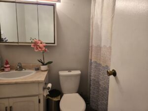 large-condo-close-to-ufv-20261010-gallery-8